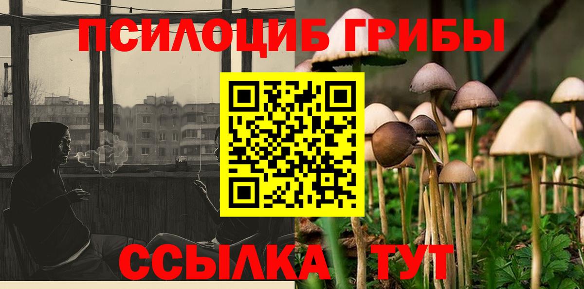 Псилоцибиновые грибы прущие грибы Кизилюрт