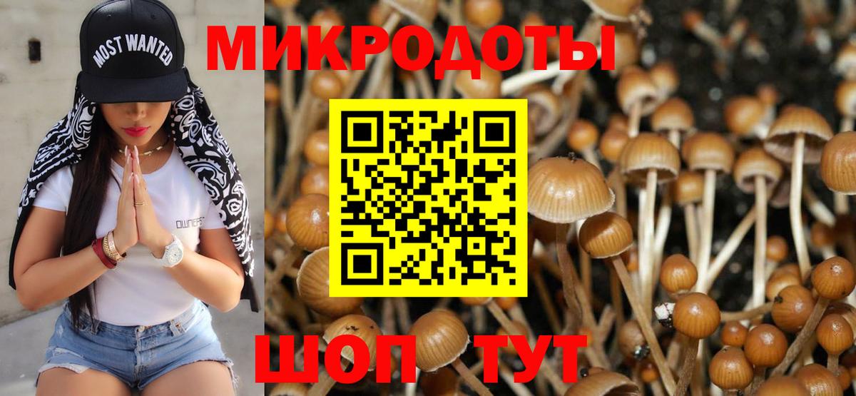 Кизилюрт  Псилоцибиновые грибы ЛСД  Вход с VPN 
